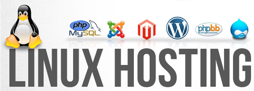 Linux Web Hosting Service Provider Company in India